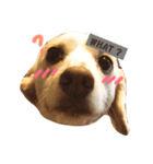 きなもなあんにん！（個別スタンプ：3）