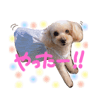 coco.seira.taro（個別スタンプ：2）