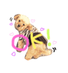 coco.seira.taro（個別スタンプ：4）
