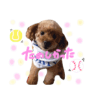 coco.seira.taro（個別スタンプ：7）