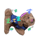 coco.seira.taro（個別スタンプ：8）
