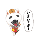 おいせまいりわんころう（個別スタンプ：1）
