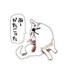 おいせまいりわんころう（個別スタンプ：4）