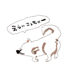 おいせまいりわんころう（個別スタンプ：5）