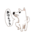 おいせまいりわんころう（個別スタンプ：7）