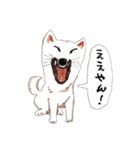 おいせまいりわんころう（個別スタンプ：8）