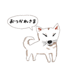 おいせまいりわんころう（個別スタンプ：10）