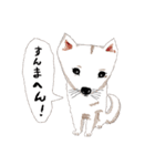 おいせまいりわんころう（個別スタンプ：12）
