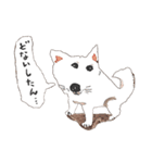 おいせまいりわんころう（個別スタンプ：17）