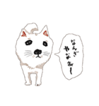 おいせまいりわんころう（個別スタンプ：18）