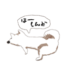おいせまいりわんころう（個別スタンプ：19）