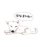 おいせまいりわんころう（個別スタンプ：20）
