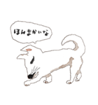 おいせまいりわんころう（個別スタンプ：21）