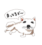 おいせまいりわんころう（個別スタンプ：22）