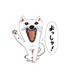 おいせまいりわんころう（個別スタンプ：23）