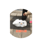家族の会話^_^（個別スタンプ：5）