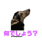 家族の会話^_^（個別スタンプ：6）