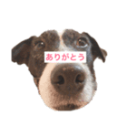 ちゅらのスタンプ（個別スタンプ：2）