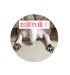 ちゅらのスタンプ（個別スタンプ：4）