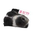 ちゅらのスタンプ（個別スタンプ：5）