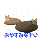 つかえるスタンプ是非どうぞ ニャンズ編（個別スタンプ：14）