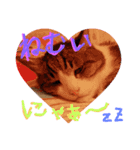 にゃんnyan（個別スタンプ：1）