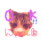 にゃんnyan（個別スタンプ：3）