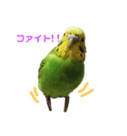 coco＆namio②（個別スタンプ：1）