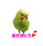 coco＆namio②（個別スタンプ：6）