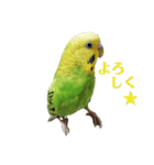 coco＆namio②（個別スタンプ：8）