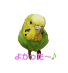 coco＆namio②（個別スタンプ：9）