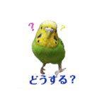 coco＆namio②（個別スタンプ：13）