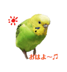 coco＆namio②（個別スタンプ：16）