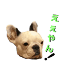 フレブルコウちゃん3（個別スタンプ：5）