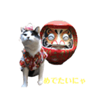 保護猫ハチミツbyオハナビーズ（個別スタンプ：20）