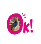 イタグレくぅ（個別スタンプ：3）