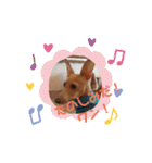 イタグレくぅ（個別スタンプ：30）