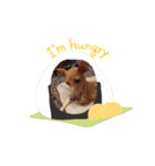 イタグレくぅ（個別スタンプ：31）