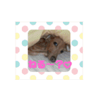 イタグレくぅ（個別スタンプ：32）