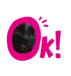 黒猫のこーちゃん（個別スタンプ：5）