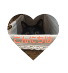 黒猫のこーちゃん（個別スタンプ：7）