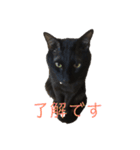 黒猫のこーちゃん（個別スタンプ：9）