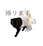 黒猫のこーちゃん（個別スタンプ：10）