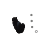 黒猫のこーちゃん（個別スタンプ：11）