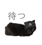 黒猫のこーちゃん（個別スタンプ：21）