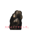 黒猫のこーちゃん（個別スタンプ：22）