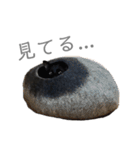 黒猫のこーちゃん（個別スタンプ：25）