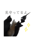 黒猫のこーちゃん（個別スタンプ：26）