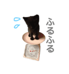黒猫のこーちゃん（個別スタンプ：27）