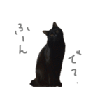黒猫のこーちゃん（個別スタンプ：36）